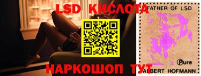 эйфоретик Можга