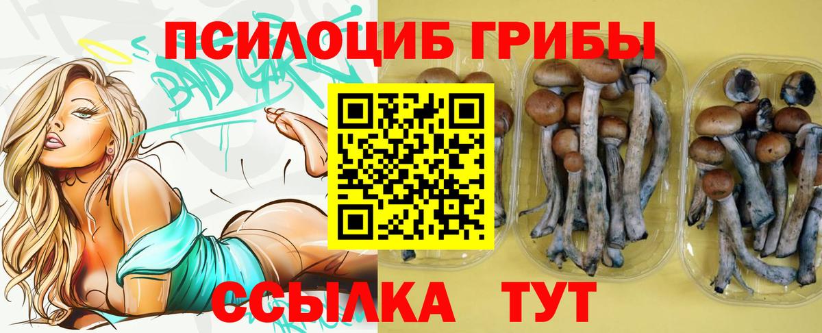 Галлюциногенные грибы GOLDEN TEACHER Хасавюрт