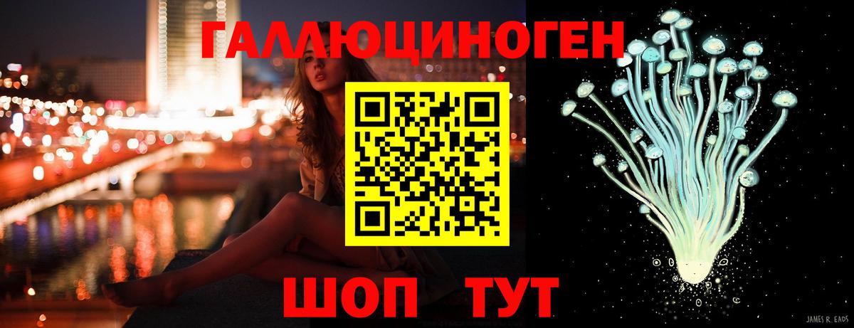 цена наркотик  Псилоцибиновые грибы Psilocybine cubensis  Вход с VPN  Хасавюрт 