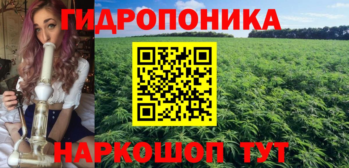 Бошки марихуана индика  Вход с VPN  Хасавюрт  МАРИХУАНА семена 